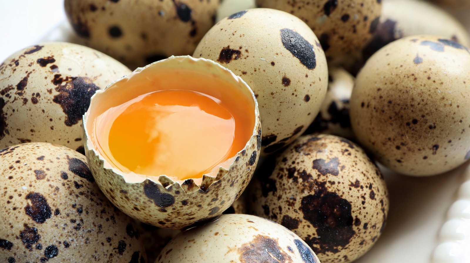 The benefits of quail eggs — nutrition and health